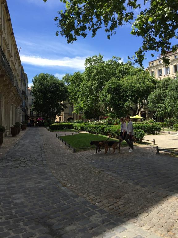 Appartement Vieille Intendance Montpellier Exteriör bild