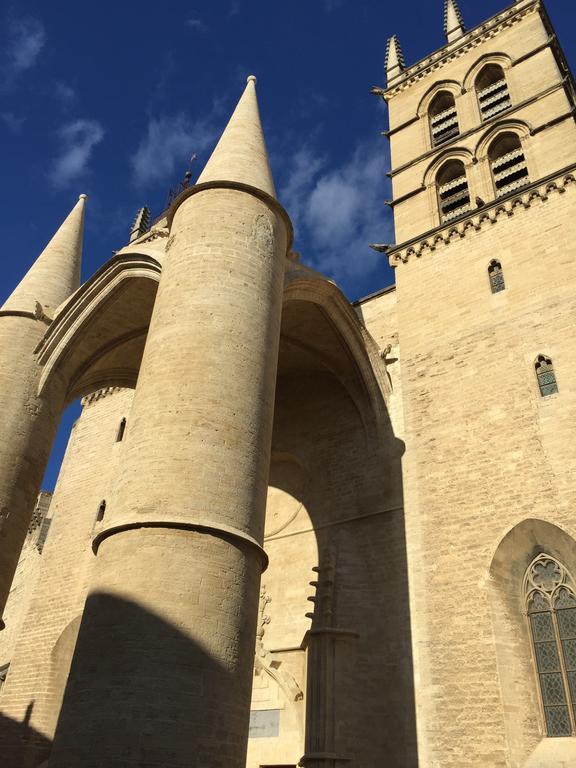 Appartement Vieille Intendance Montpellier Rum bild
