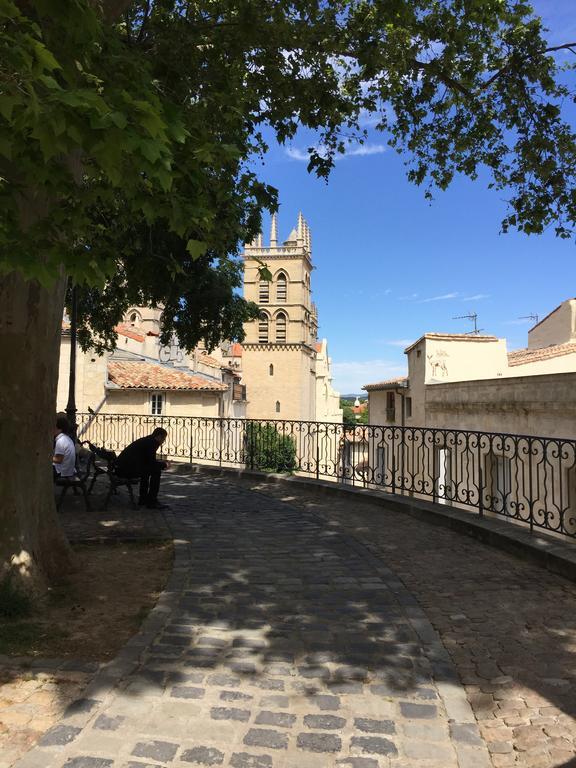 Appartement Vieille Intendance Montpellier Exteriör bild